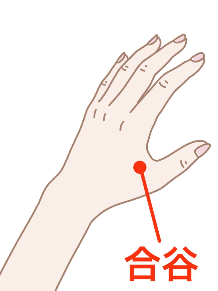 合谷のツボ